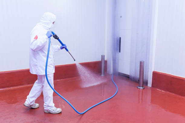 Boat and Dock Cleaning in Squirrel Mountain Valley, CA